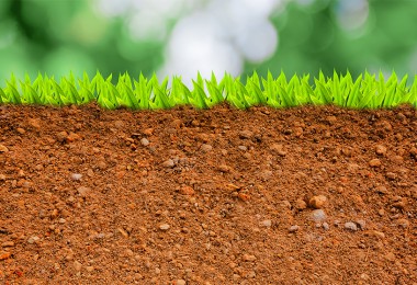tipos de suelo para un huerto urbano o un jardín ecológico